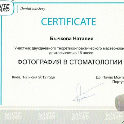 Bichkova Diplom 00011
